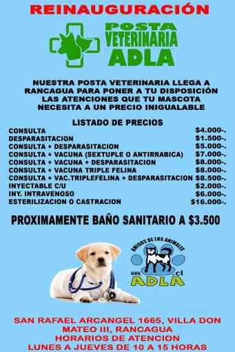 Las mejores aplicaciones para gestionar visitas veterinarias